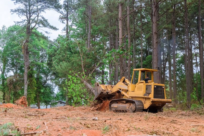 Bulldozer Clearing in Atlanta, GA